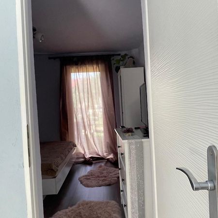 Garsoniera La Casa Apartment Timisoara Luaran gambar