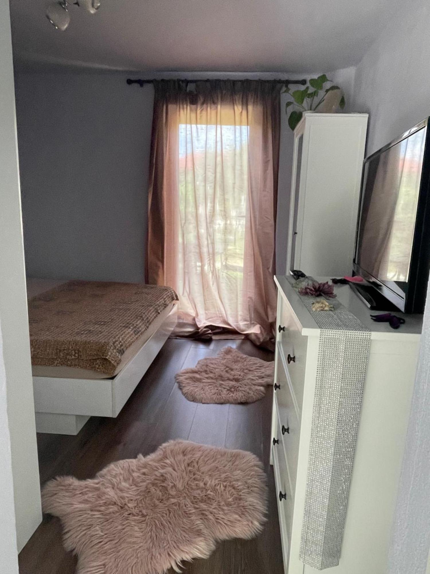 Garsoniera La Casa Apartment Timisoara Luaran gambar